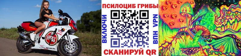 Галлюциногенные грибы Cubensis  Топки 