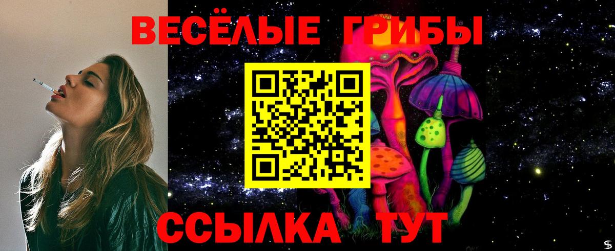 Галлюциногенные грибы мухоморы Топки